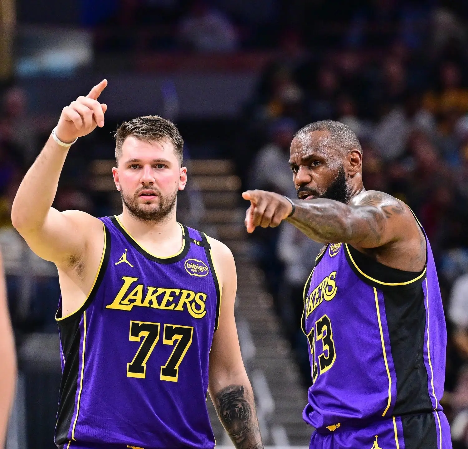 img, entit, 整赛程