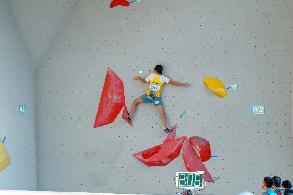 冠军李美妮, 此前在世界